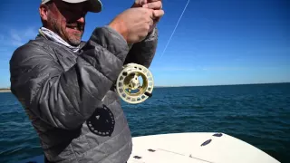 Cape Lookout on Fly total