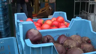 De Vijfsprong IN DE WINKEL