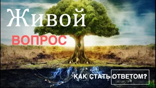 Сатсанг  Живой Вопрос.Йога для Мозга. Как стать ОТВЕТОМ для Самого Себя?