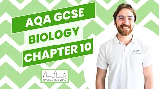 AQA GCSE Biology B10 The Human Nervous System - EXPLAINED