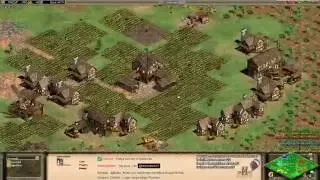 Aoe2 HD: Economy Tips & Black Forest Strategy (Part 1/2)