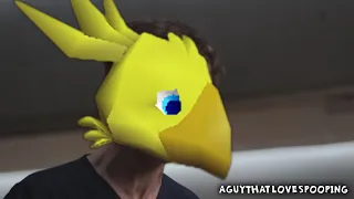 I am a chocobo, Dr. Han