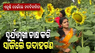 Special Story | Keonjhar Woman Turns Self-Reliant With Sunflower Farming