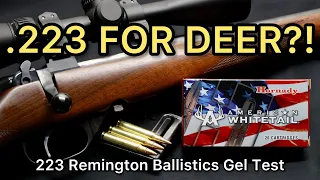 .223 ENOUGH FOR DEER?! 223 Remington Hornady American Whitetail 60gr Ammo Test