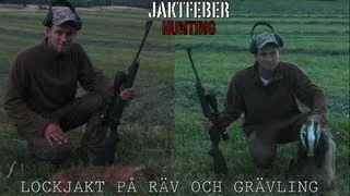 JAKTFEBER Lockjakt på Räv & Grävling. Del 1.
