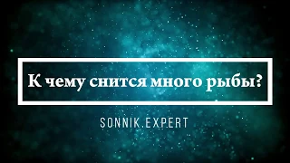 К чему снится много рыбы - Онлайн Сонник Эксперт