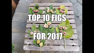 Ben B's 2017 Top 10 figs for Seattle