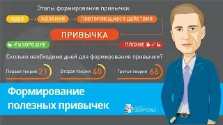 Полезные привычки и их формирование