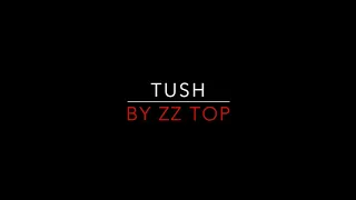 ZZ Top - Tush [1975] Lyrics