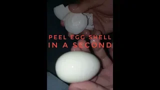 EASIEST WAY TO PEEL EGG SHELL