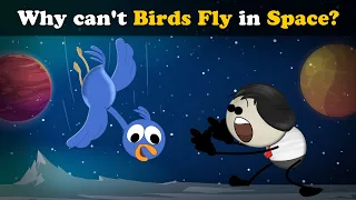 Why can't Birds Fly in Space? + more videos | #aumsum #kids #science #education #children