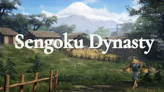 Sengoku Dynasty ► Сам себе бригада # 8