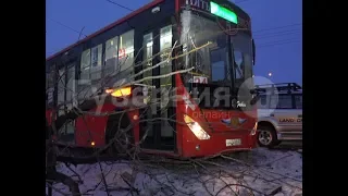 Водитель автобуса врезался в дерево на проспекте в Хабаровске. Mestoprotv