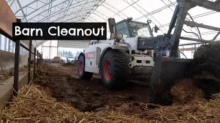 How I Clean Out the Sheep Barn |  Vlog 53