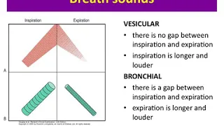 Respiratory Examination part 2 for OSCEs