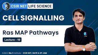 Ras MAP Pathways | Cell Signalling : L - 4 | CSIR, GATE, DBT, BARC, ICMR | IFAS