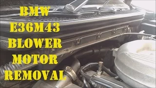 Blower Motor removal, BMW E36M43