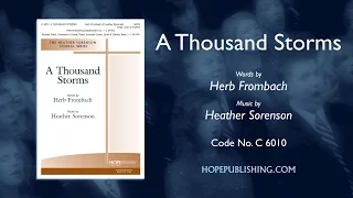 A Thousand Storms - Herb Frombach & Heather Sorenson