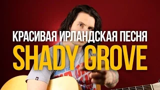 Как играть красивую ирландскую мелодию на гитаре Shady Grove - Уроки игры на гитаре Первый Лад