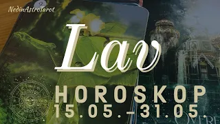 Lav ♌️ “Više nego dovoljno” Horoskop 15.05-31.05