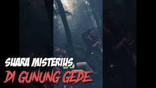 SUARA MISTERIUS DI GUNUNG GEDE|KISAH PARANORMAL #shorts