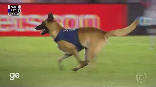 Cachorro da Polícia invade campo na final do Pernambucano