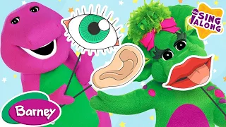 The Five Senses Song | Barney Nursery Rhymes and Kids Songs