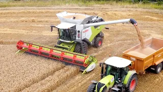 Claas Trion Combine: DEMO-DAY and WALKROUND