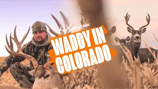 Spot and Stalk Bow Hunt | Michael Waddell Mule Deer Hunt in Colorado | Realtree Monster Bucks