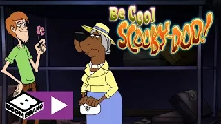 Be Cool, Scooby-Doo! | Scooby-nanny | Boomerang UK