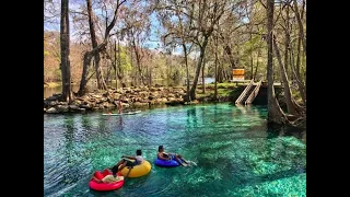 Top 11 Springs in Central Florida