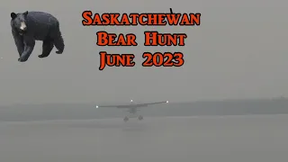 2023 Recurve Bear Hunt, down on Film - Saskatchewan Canada - SloMo shot #archery #bear #hunting