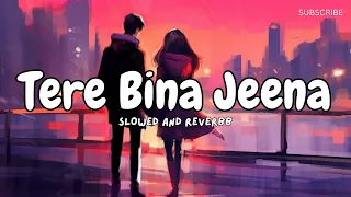 Tere Bina Jeena Nahi Ve Sohneyaa [SLOWED+REVERB] Bin Roye