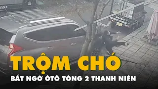 Hai thanh niên trộm chó bị ô tô tông ở Hóc Môn khai mỗi ngày bắt từ 2 đến 10 con chó