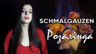 Schmalgauzen - Розалінда (Cover by Diana Skorobreshchuk)