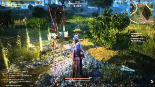 Black Desert Witch early level Combat Gameplay