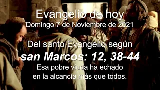 Evangelio según san Marcos  12, 38-44. Evangelio de hoy domingo 7 de Noviembre de 2021