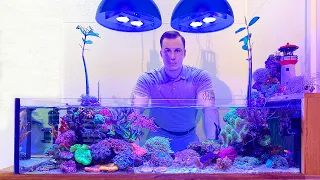 REEF TANK TOURS - "Nano Shallowreef island" - LPS 45 gallon aquarium OVERVIEW 4k