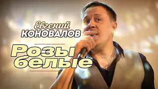 Евгений Коновалов - Розы белые (Концерт в ресторане Гранат, Рязань, 2023)