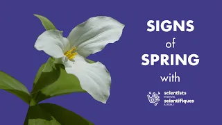 🌷🐝 Signs of Spring! | Exploring the Outdoors Using Our Senses