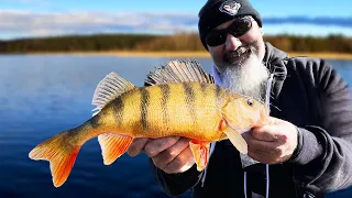 une pêche simple - La perche du bord