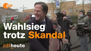 Skandale, Affären und Corona – Wahlen in den Niederlanden