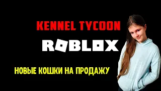 Roblox Kennel Tycoon! Новые кошки на продажу