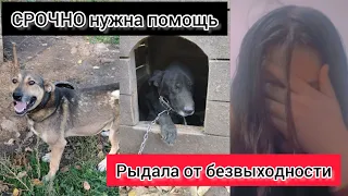 Рыдала от безвыходности. СРОЧНО нужна помощь💔😰