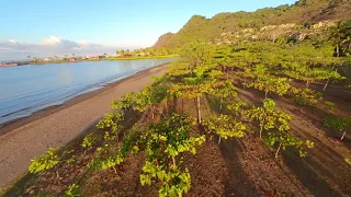 Costa Rica | Mobula 7 1s | Cinematic FPV