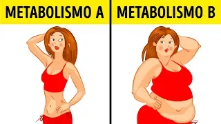 Cos'è la dieta metabolica e perché funziona per chiunque