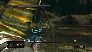 My "Dark Souls Except It's Incredibly Cursed" Experience