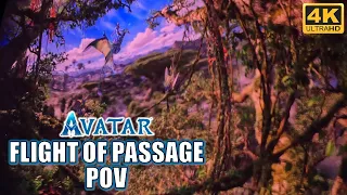 Avatar Flight of Passage POV (4K 60FPS), Disney's Animal Kingdom Simulator | Non-Copyright