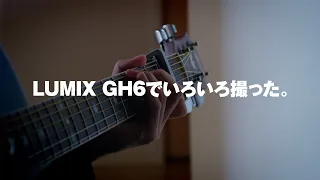 GH6で撮った素材などを見ながら 本年度もよろしゅう【撮るに足らないこと】