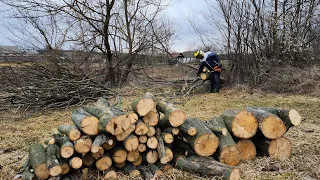 Після зими гілок стало більше. Як перезимували дерева. Арпал МБ-60БД 🪵